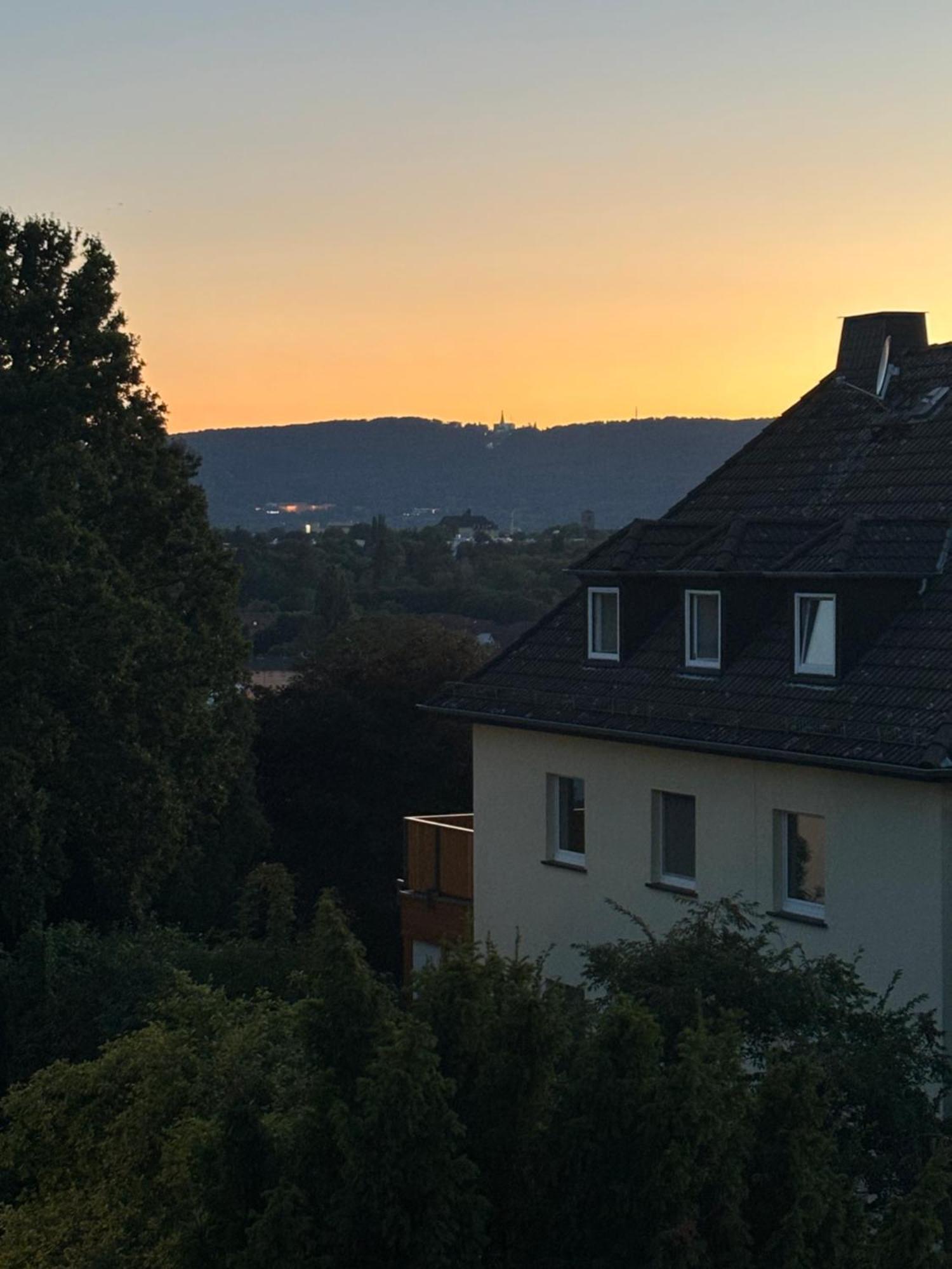 Apartment Kleiner Waschbaer