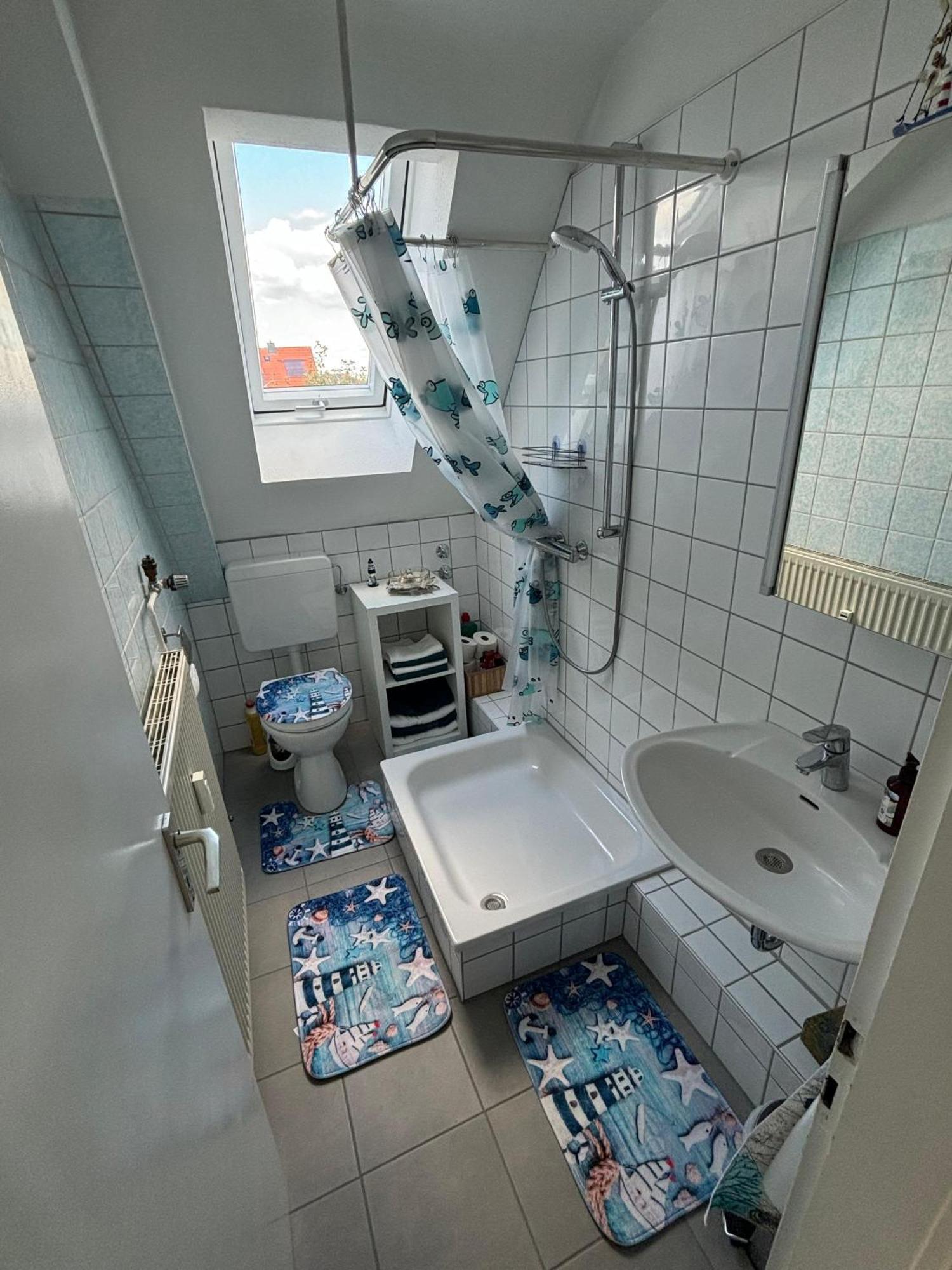 Kleiner Waschbaer Apartment Kassel