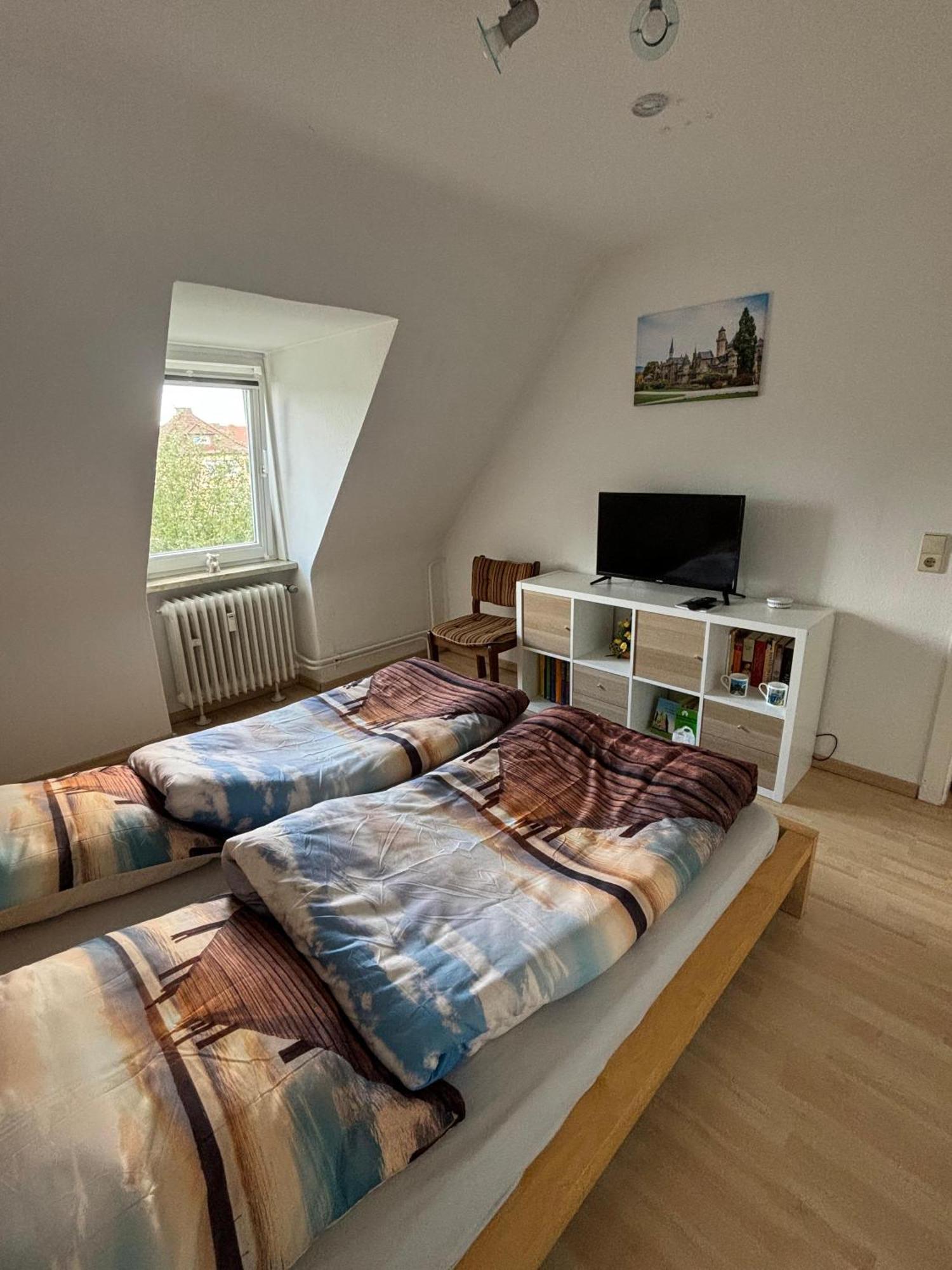 Kleiner Waschbaer * Kassel