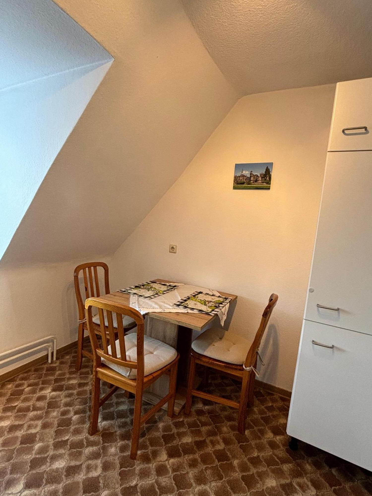 Kleiner Waschbaer * Kassel